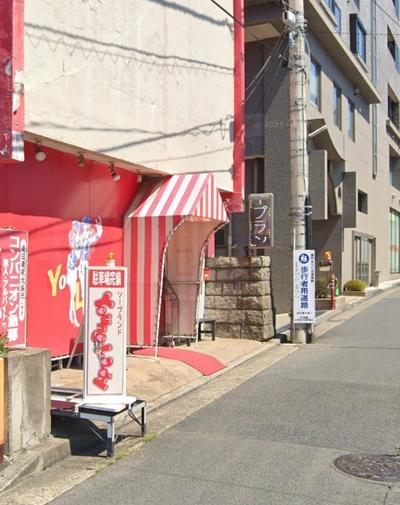 ヤングレディ